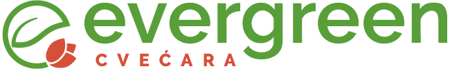 Evergreen logo transp 650x100