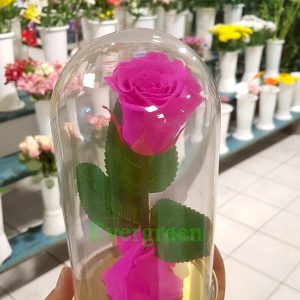 Aranžmani za zaljubljene – 004 Večna ruža