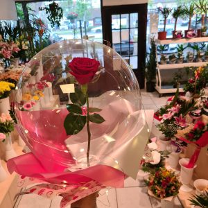 Aranžmani za rođendan – 013 – Ruža u balonu