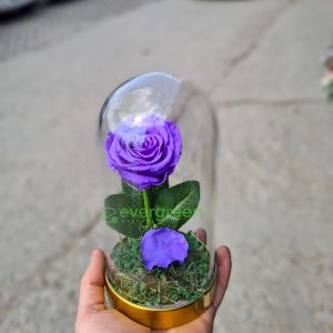 Večna ruža u staklu – 010 – Svetlo ljubičasta