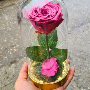 Večna ruža u staklu – 004 – Pink