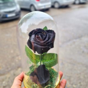 Večna ruža u staklu – 008 – Crna