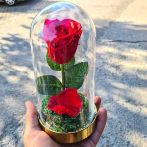 Večna ruža u staklu – 016 – Crvena ruža