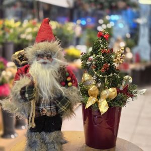 Novogodišnji aranžmani – 022 – Novogodisnji paket